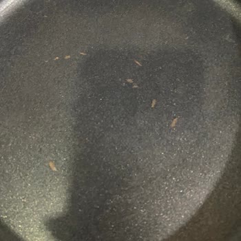 Karaca Züccaciye Diamond Tencere Seti Değişim Sorunu