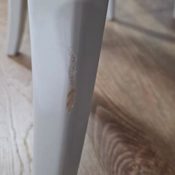 Gökhancan Evden Eve Nakliyat Kapıda Fiyatı Artırdı