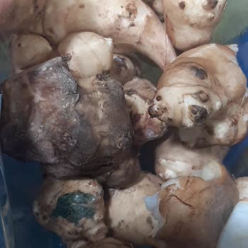 Migros'ta Çürük Ürün Skandalı: Sağlığımız Tehlikede