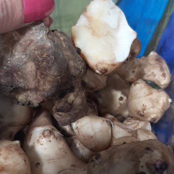 Migros'ta Çürük Ürün Skandalı: Sağlığımız Tehlikede