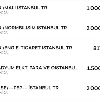 Axess Kartımdan İzinsiz Harcamalar Ve Geri Dönüş Eksikliği