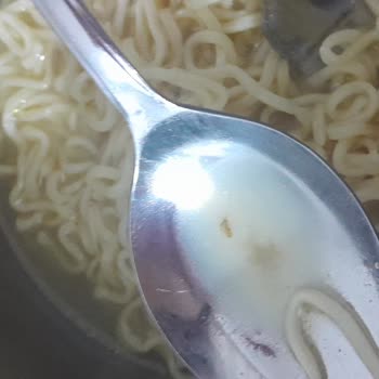 Noodle Ürünü İçinde Böcek Parçaları