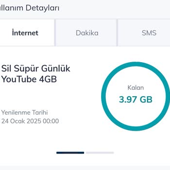 Sil Süpür Kampanyasında İnternet Kullanım Sorunu