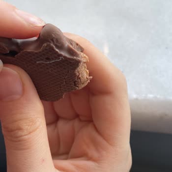 Eti Canga Cookie'de Hijyen Skandalı: Üründen Çıkan Kıl Şoku
