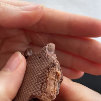 Eti Canga Cookie'de Hijyen Skandalı: Üründen Çıkan Kıl Şoku
