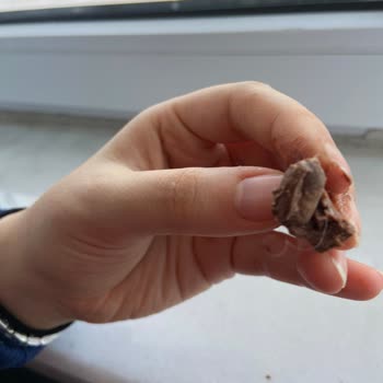 Eti Canga Cookie'de Hijyen Skandalı: Üründen Çıkan Kıl Şoku