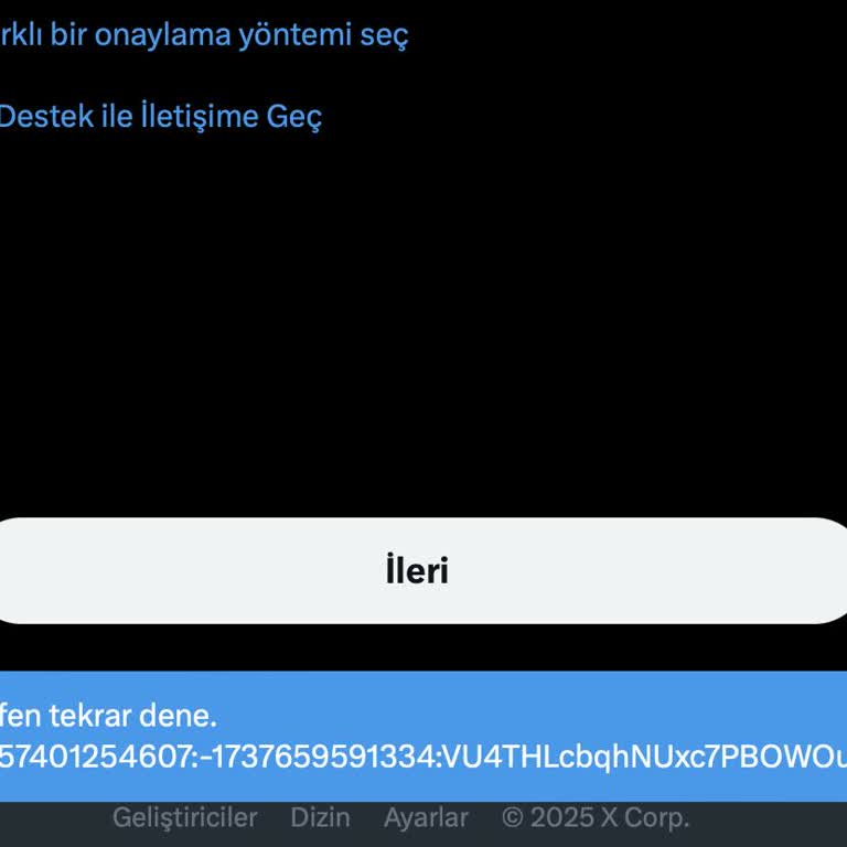 Hesap Erişim Sorunu: Yedek Kodlar Ve 2FA Problemi