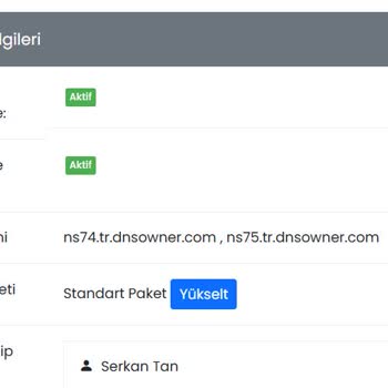 Destek Eksikliği Ve DNS Yönlendirme Sorunu
