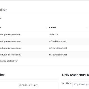 Destek Eksikliği Ve DNS Yönlendirme Sorunu
