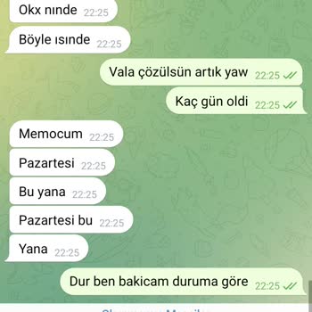 Güvenlik Kısıtlaması Ve Destek Sorunu