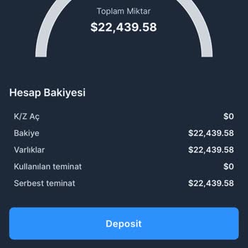 Forex Yatırımında Büyük Kayıplar Ve Şüpheli Talepler