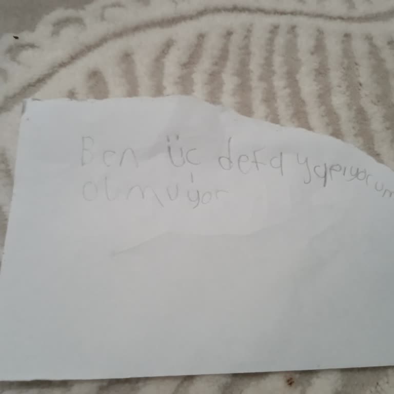 Rüzgar Gülü Başvuru Mesajı Sorunu