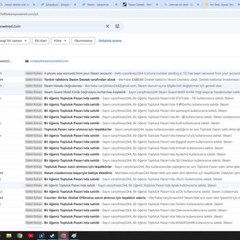 Çalınan Steam Hesabı Ve Erişim Sorunları