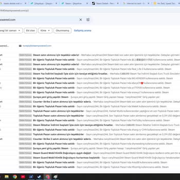 Çalınan Steam Hesabı Ve Erişim Sorunları