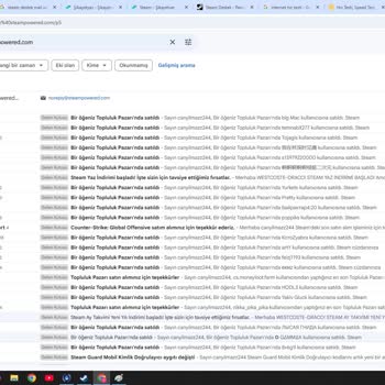 Çalınan Steam Hesabı Ve Erişim Sorunları