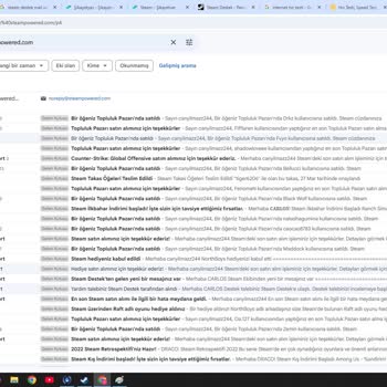 Çalınan Steam Hesabı Ve Erişim Sorunları