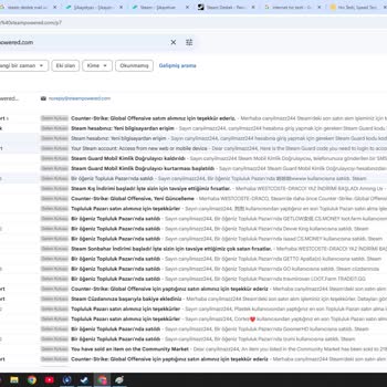 Çalınan Steam Hesabı Ve Erişim Sorunları