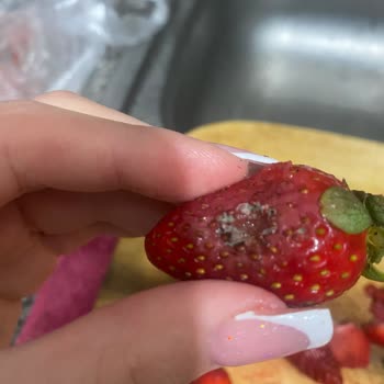 Migros Hemen'den Gelen Çürük Çilekler