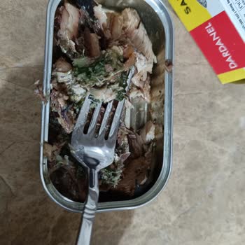 Küflenmiş Ve Kokan Ton Balığı Hayal Kırıklığı