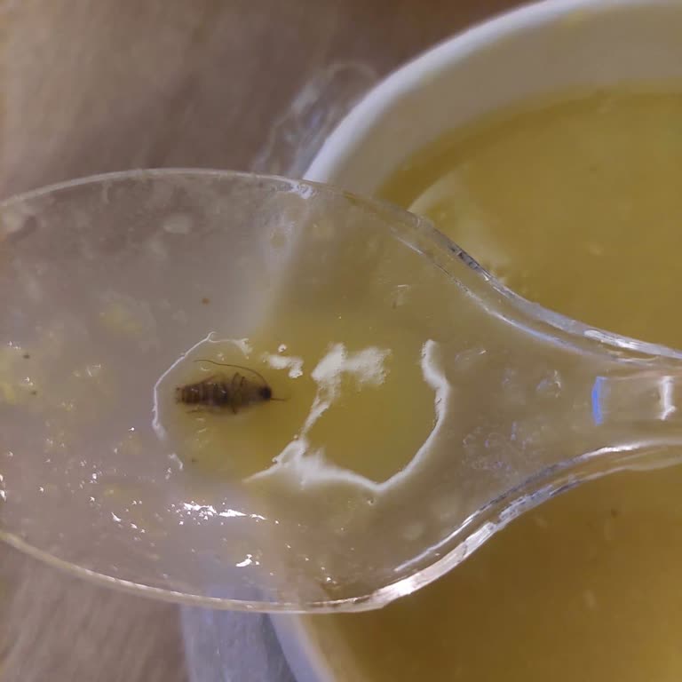 Yemekte Böcek Şoku: Migros'tan Yetersiz İade