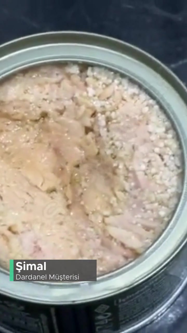 Dardanel Bozuk Zeytinyağlı Ton Balığı videonun kapak resmi