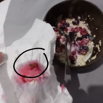 Dondurulmuş Meyve Kutusundan Çıkan İstenmeyen Sürpriz