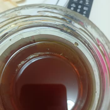 Balparmak Balında Şok Edici Böcek Sorunu