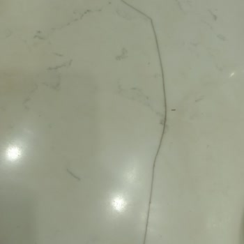 Tezgah Sorunu Ve İlgisizlik