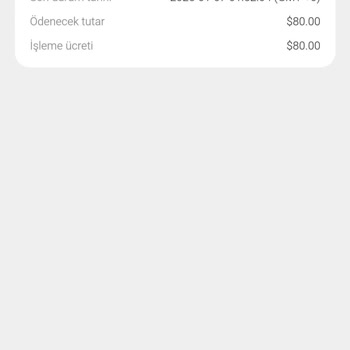 Chamet Ve Met Wallet'te Para Aktarım Sorunu Ve Müşteri Hizmetleri Çıkmazı