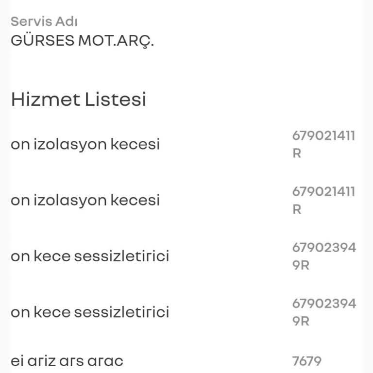 Renault Aracımın Bitmeyen Ses Sorunu Ve Servis Mağduriyeti