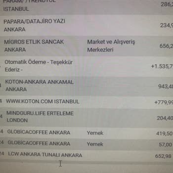 Erişilemeyen İletişim: Mindguru Plan İptali Sorunu