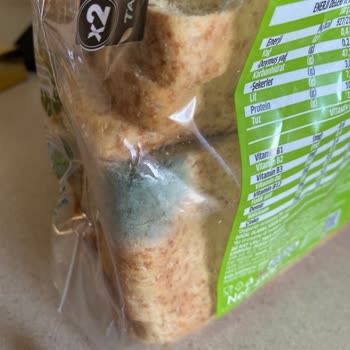 Taze Ekmeğin Küflü Kabusu: UNO Tava Ekmeği Sorunu