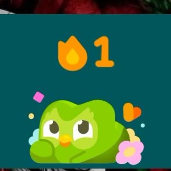 Duolingo'da Seri Kaybı Motivasyonumu Düşürdü