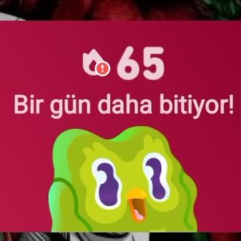 Duolingo'da Seri Kaybı Motivasyonumu Düşürdü