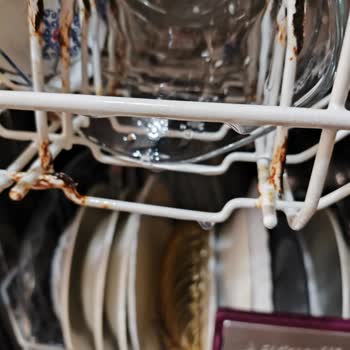 Arçelik Bulaşık Makinesi Hayal Kırıklığı