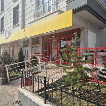 Sokak Hayvanlarına Duyarsız Market Zinciri
