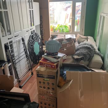 Ev Taşıma Hizmetinde Büyük Hayal Kırıklığı