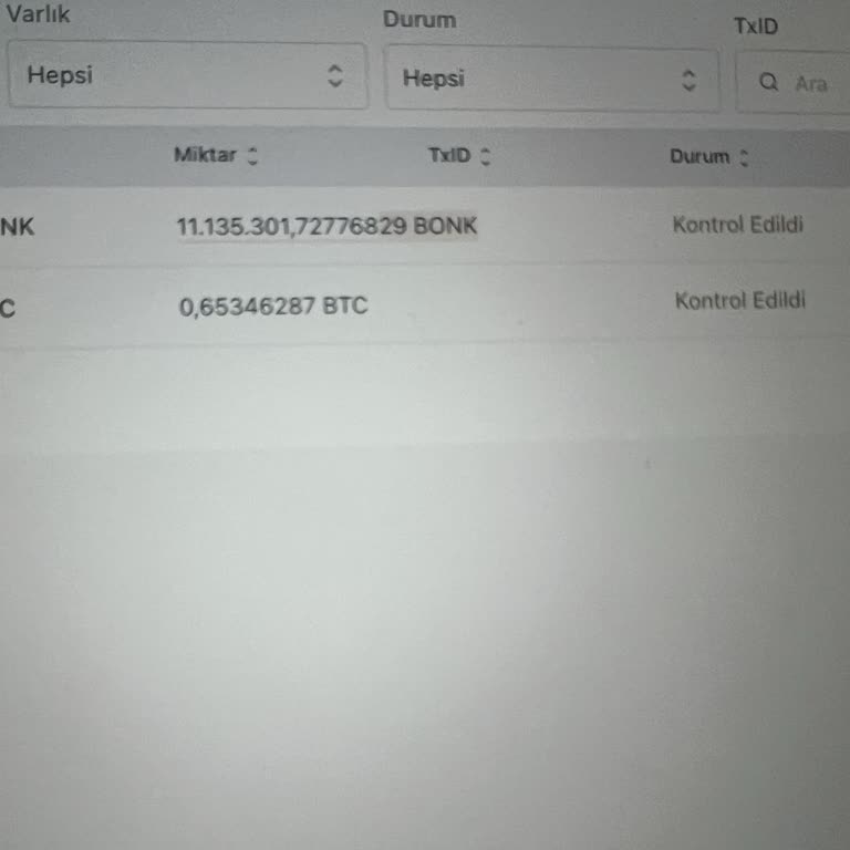 Bitci Kripto Borsasında Transfer Sorunu Ve İletişim Eksikliği