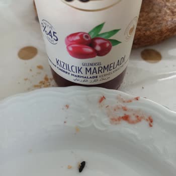 Seğmen Kızılcık Marmelatında Hijyen Sorunu