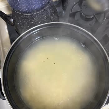 Mutlu Makarnadan Çıkan Böcekler Şaşkınlık Yarattı