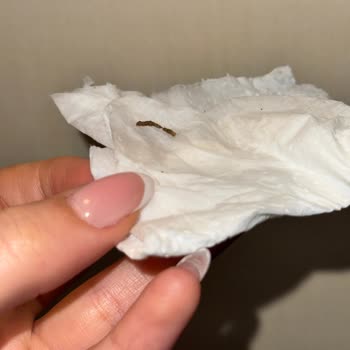 Kahvede Beklenmedik Sürpriz