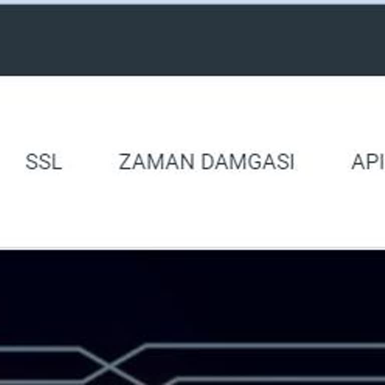 E-Tuğra'nın Hizmet Eksikliği Ve İletişim Sorunu