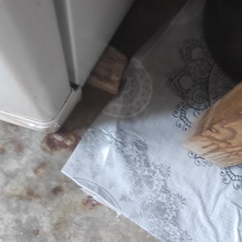 Nevşehir Simtel Servisi İle İlgisizlik Ve Güvenlik Sorunu