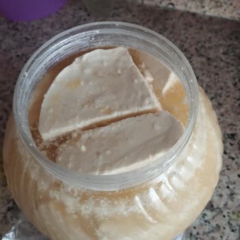 Tatsız Peynir Ve Kaba Üslup Sorunu