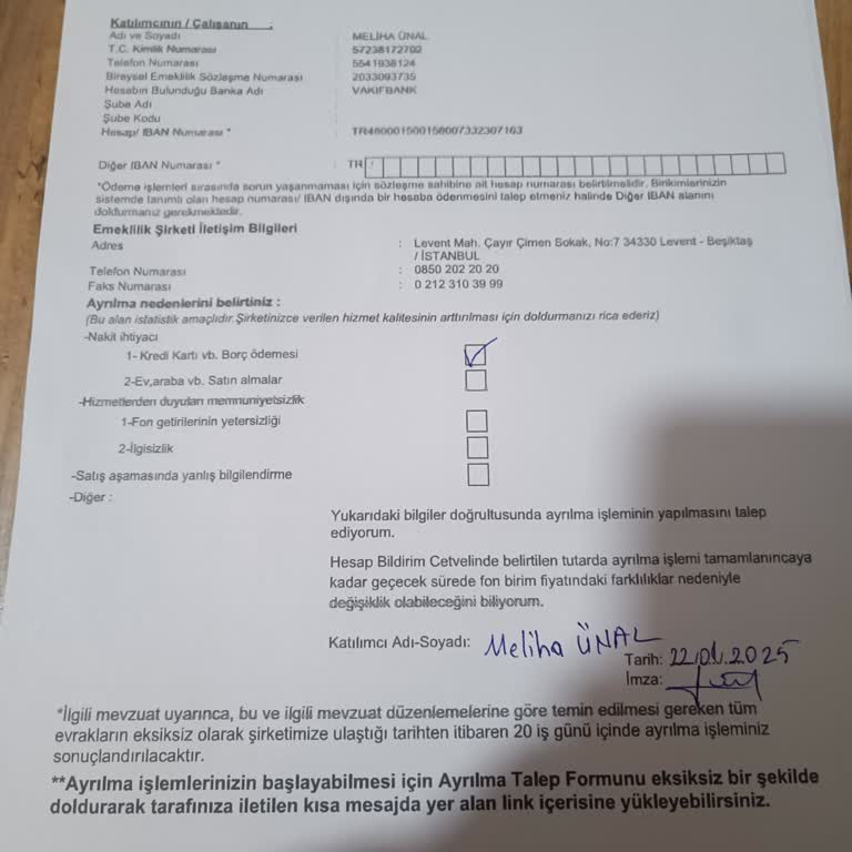 BES'ten Çıkışta Karşılaşılan Zorluklar