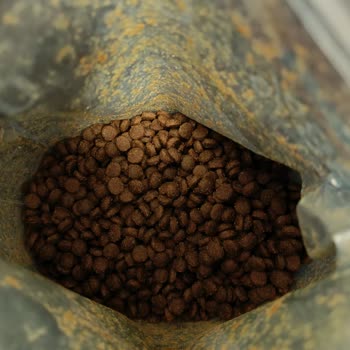 Islak Mama İadesinde Zorluklar Ve İletişim Sorunları