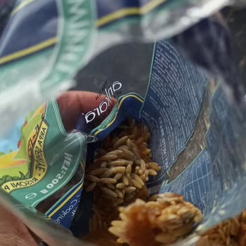 Küflü Makarna Şoku: Güven Sarsan Denetimsizlik