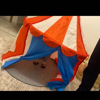 Kayıp Çadır Çubukları Ve İlgisiz Hizmet