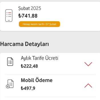 Vodafone Adroin Reklam Ve Bilişim Uygulama Ücreti