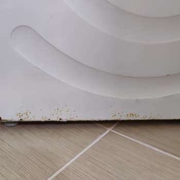 Bosch Beyaz Eşyaların Paslanma Sorunu